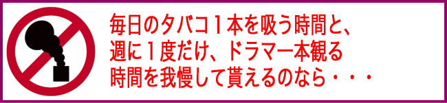 �T�u�L���b�`